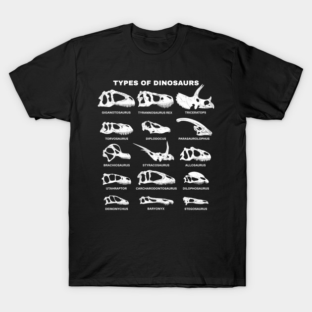 Types of Dinosaurs Table for Kids by NicGrayTees